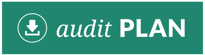 Download Audit Plan